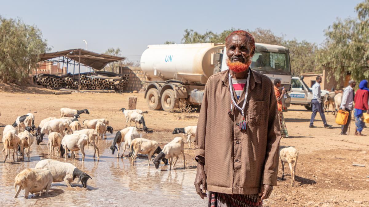 Millions of people and their livestock depend on humanitarian aid to survive.  © UNHCR/Eugene Sibomana