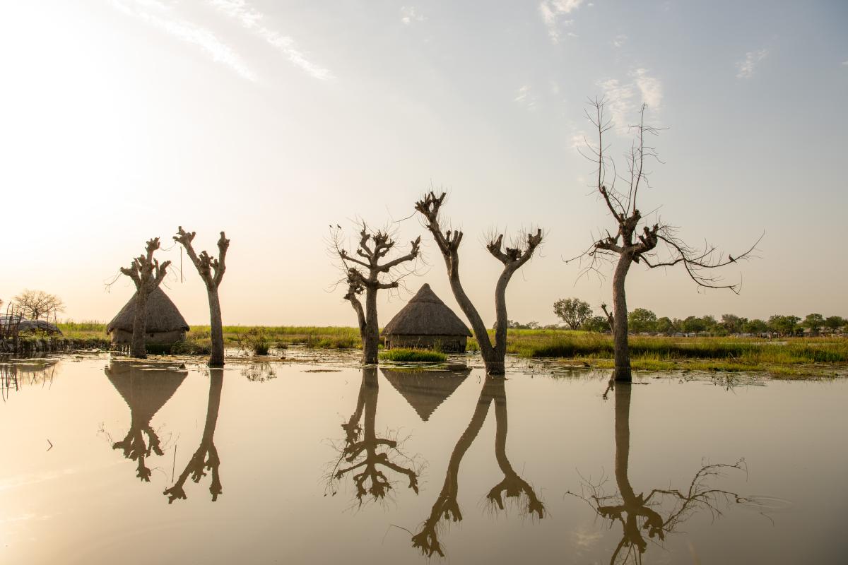 Von den Fluten teilweise überschwemmte Häuser stehen in Old Fangak. © UNHCR/Samuel Otieno